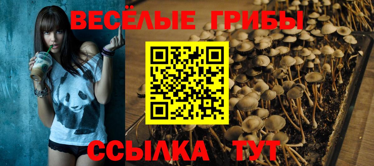 Псилоцибиновые грибы MAGIC MUSHROOMS Калининград